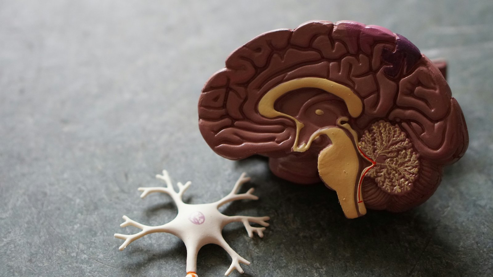 The Unbreakable Brain Science